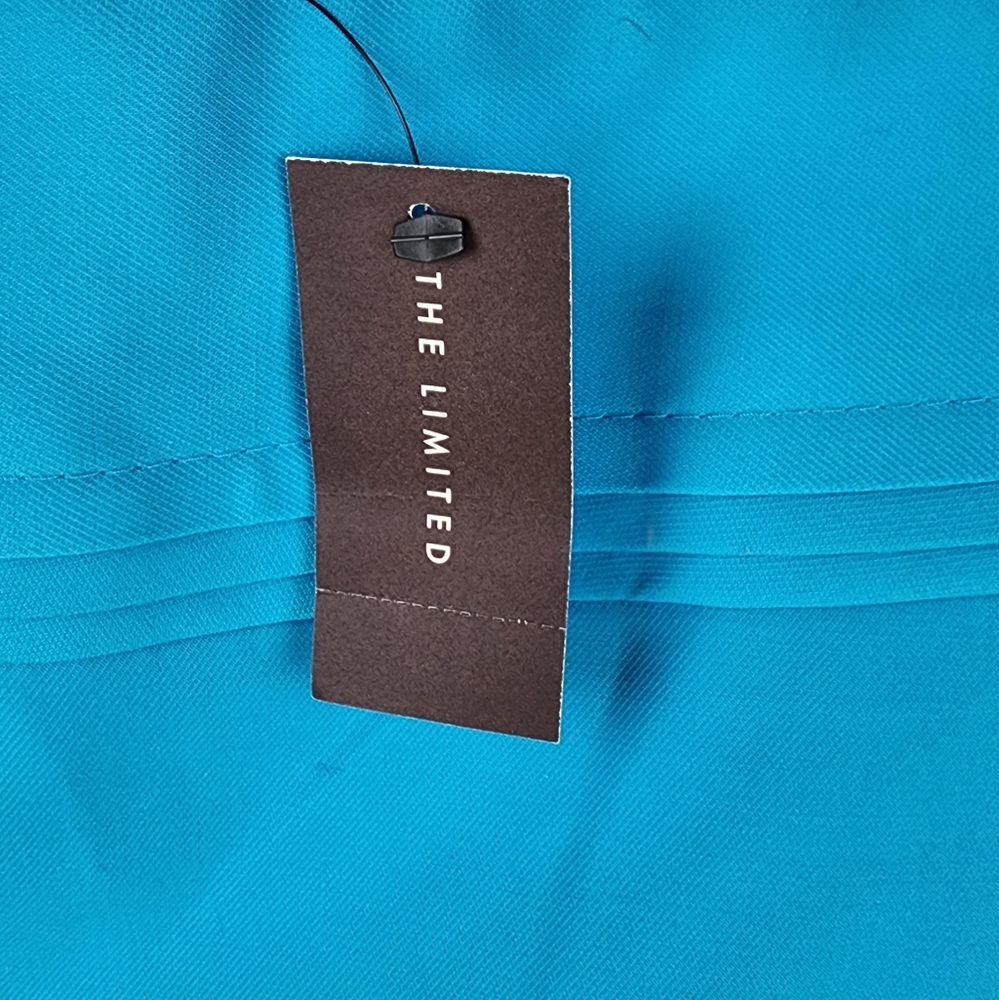 NWT The Limited Teal Skirt - Picture 3 of 4